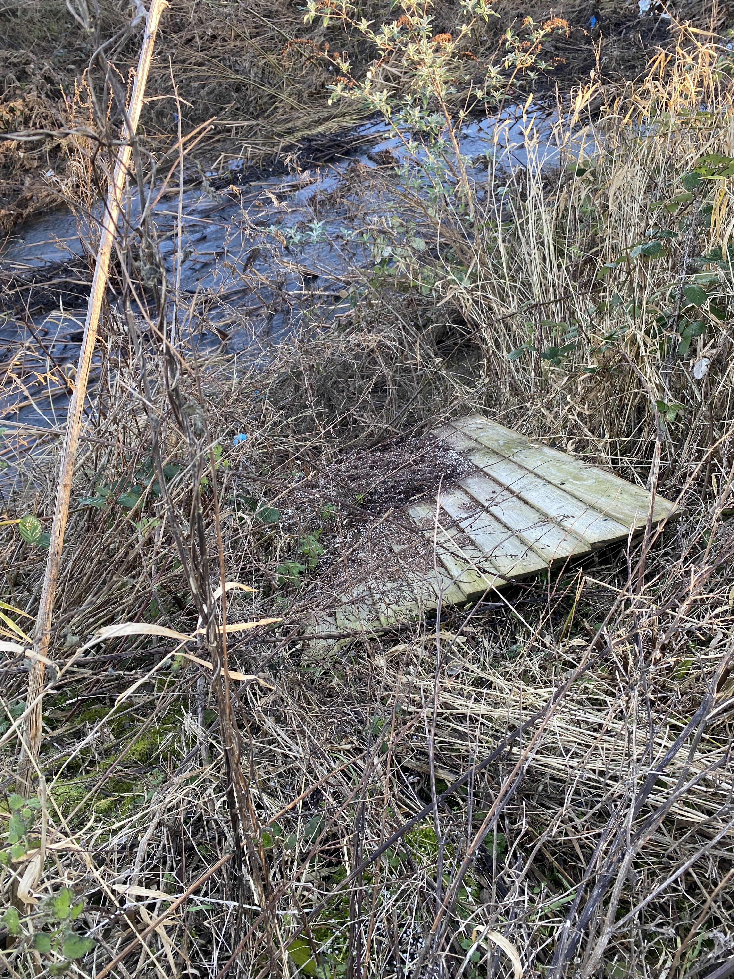 Barkby-Brook-showing-fly-tipping-Meadow-Lane