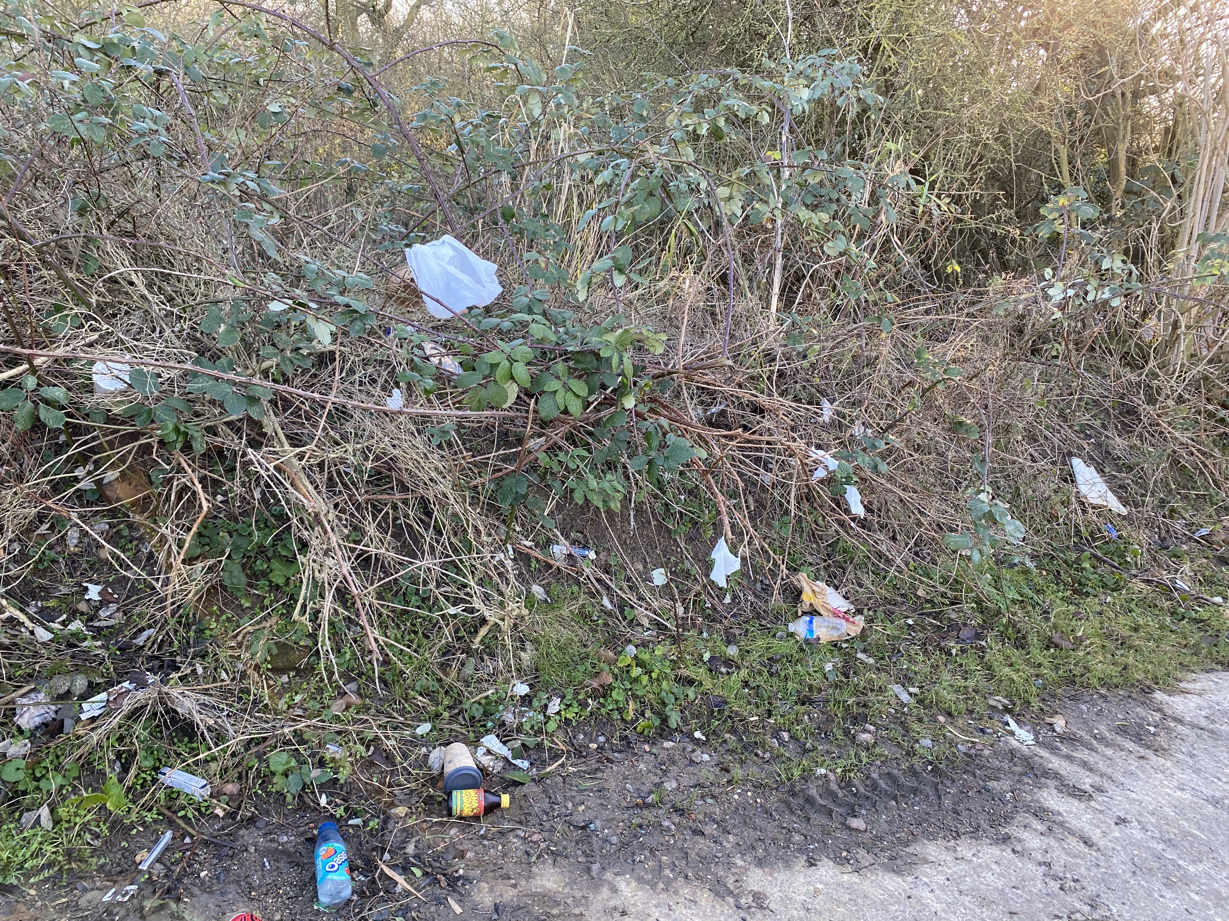 Meadow-Lane-Rubbish
