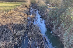 Barkby-Brook-Meadow-Lane-showing-Overgrown-vegetation-in-the-brook