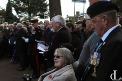 Veterans-and-Crowd