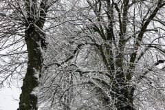 Nicola-Dawson-Snow-in-Syston-1-broad-St-scaled