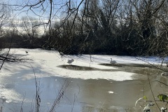 Pictures by Kitty Bridgwood